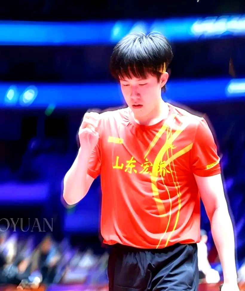  乒乓球世界巡回赛总决赛 